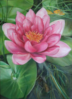 /album/obrazy/leknin-w-jpg/